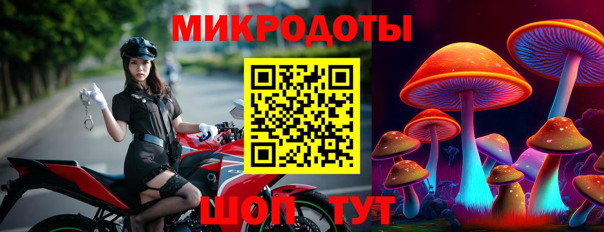 Старая Купавна  Галлюциногенные грибы ЛСД  Вход с VPN 